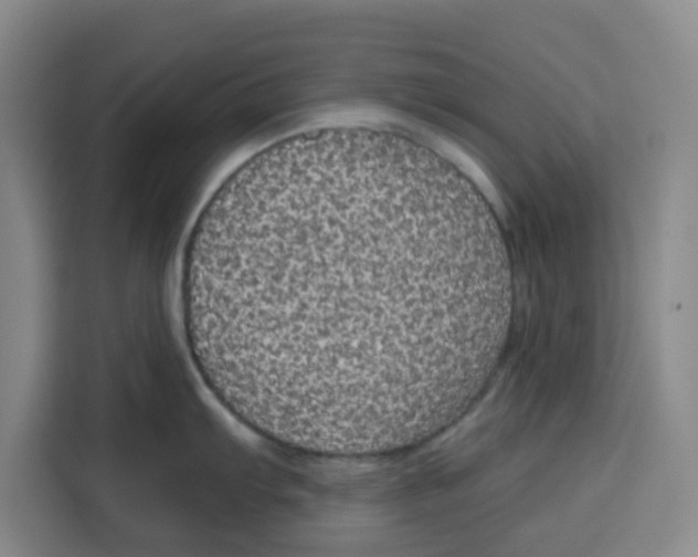 X0000115131103200911241441