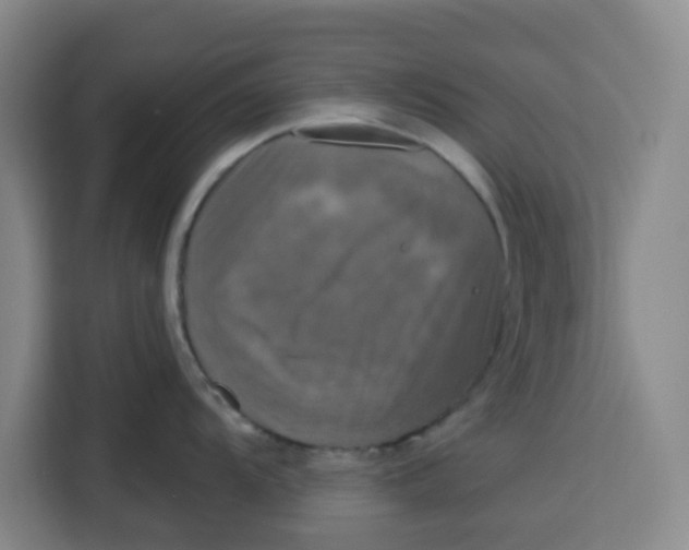 X0000115131104200911241441