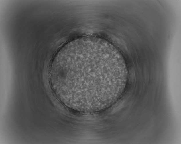 X0000115131105200911241440