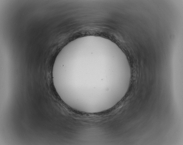 X0000115131109200911241440