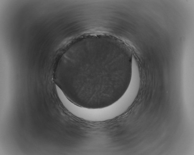 X0000115131110200911241440