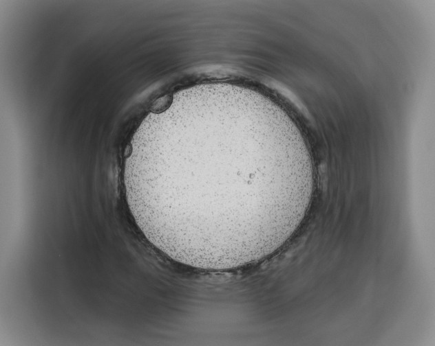 X0000115131111200911241440