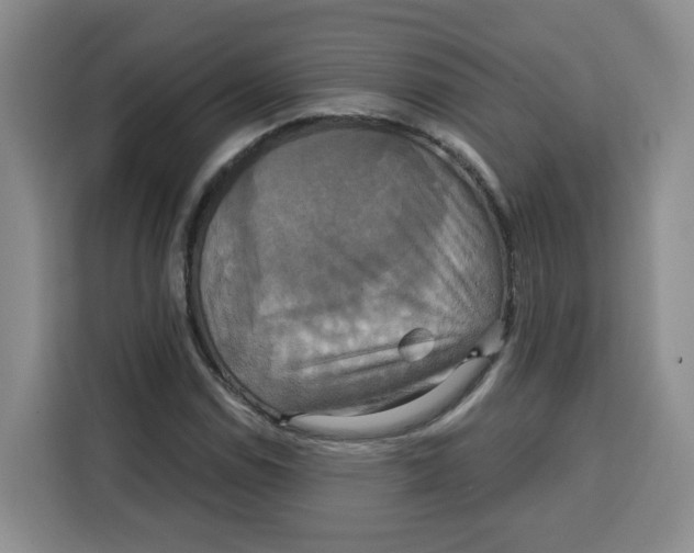 X0000115131114200911241440