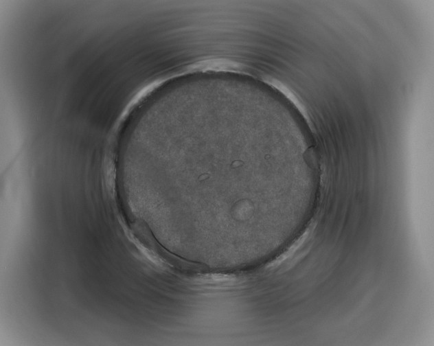 X0000115131115200911241440