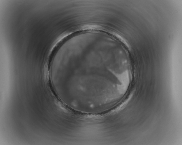 X0000115131117200911241440