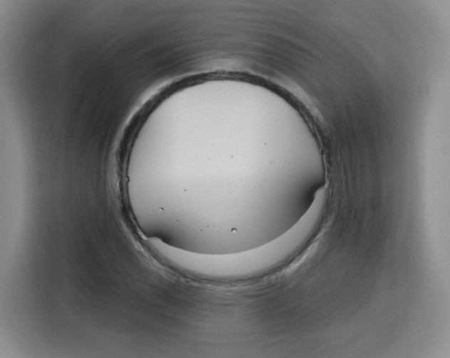 X0000115131118200911241440