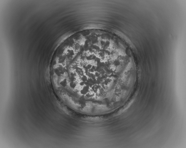 X0000115131121200911241440