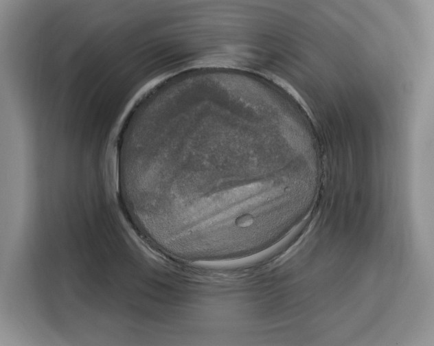 X0000115131123200911241440