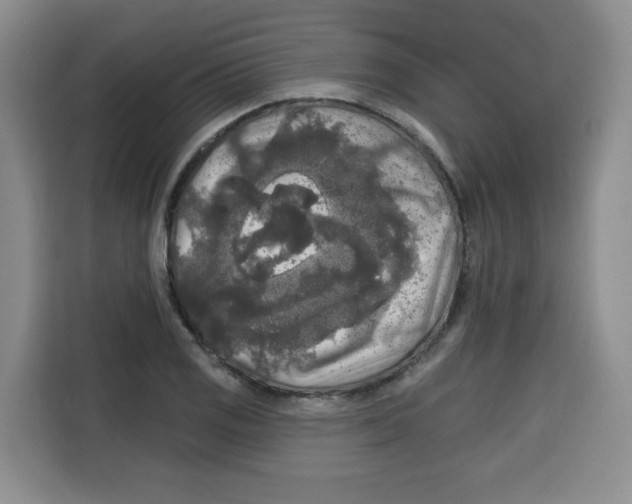 X0000115131125200911241440