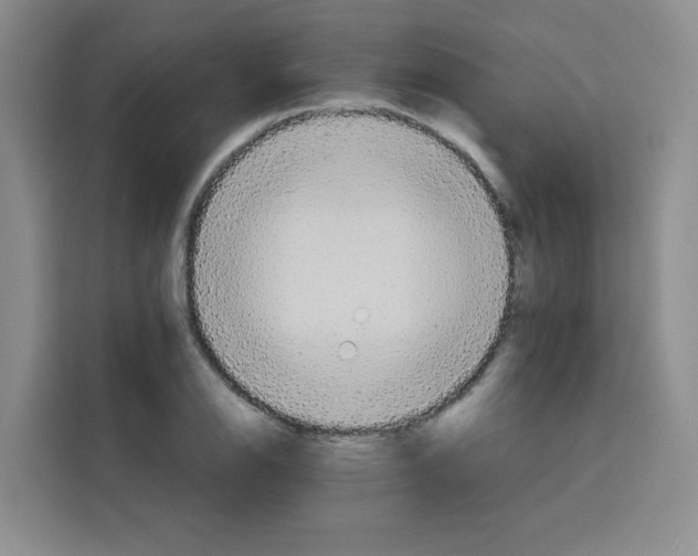 X0000115131126200911241440