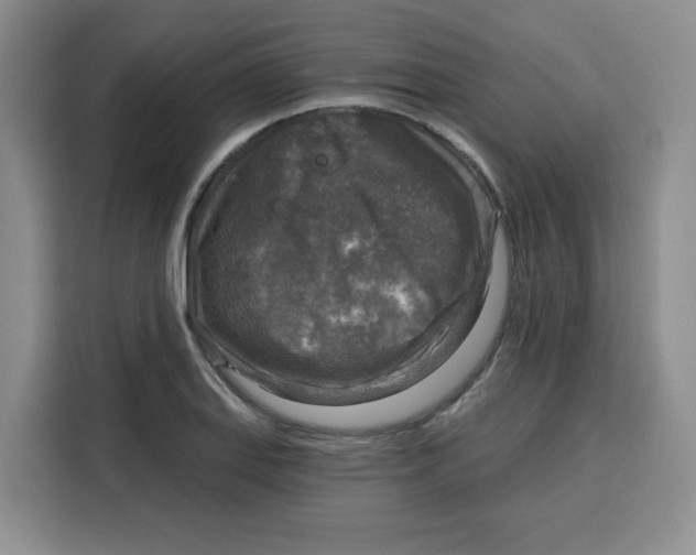 X0000115131127200911241440
