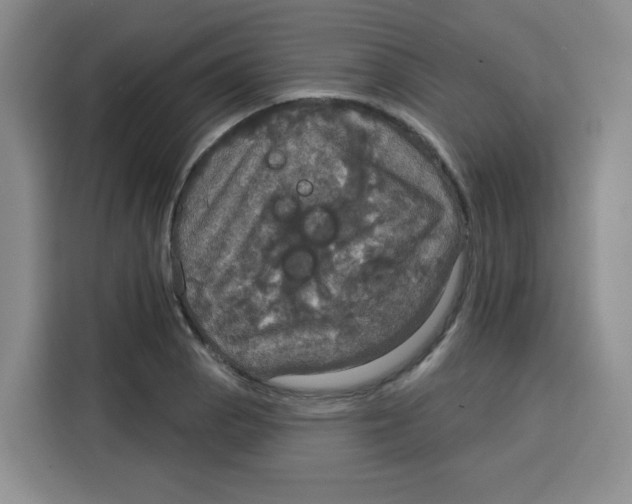 X0000115131129200911241440
