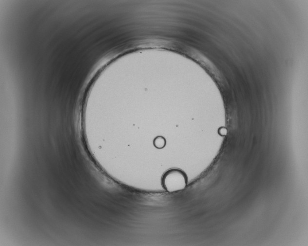 X0000115131130200911241440