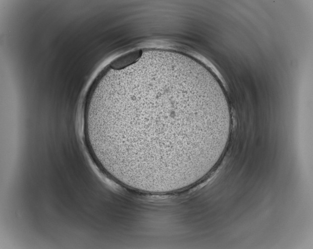 X0000115131131200911241440