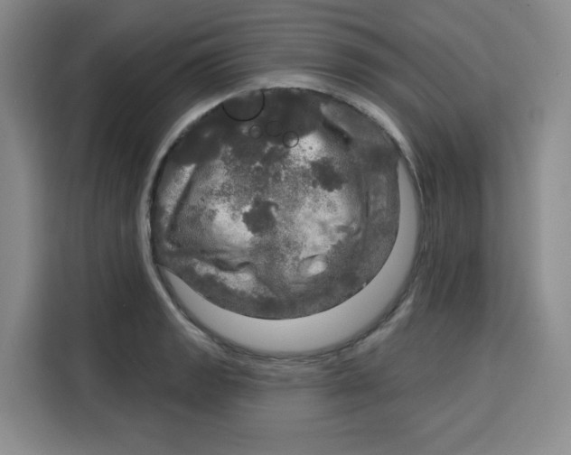 X0000115131133200911241440