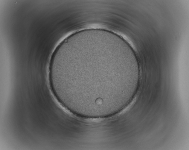 X0000115131134200911241440