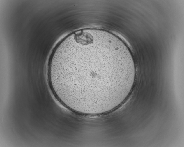 X0000115131135200911241440