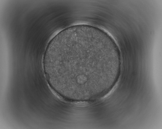 X0000115131137200911241440
