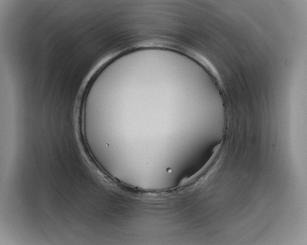 X0000115131138200911241440