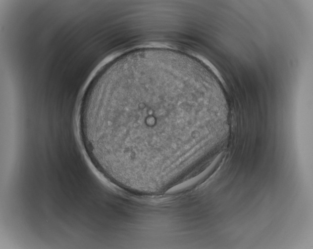 X0000115131139200911241440