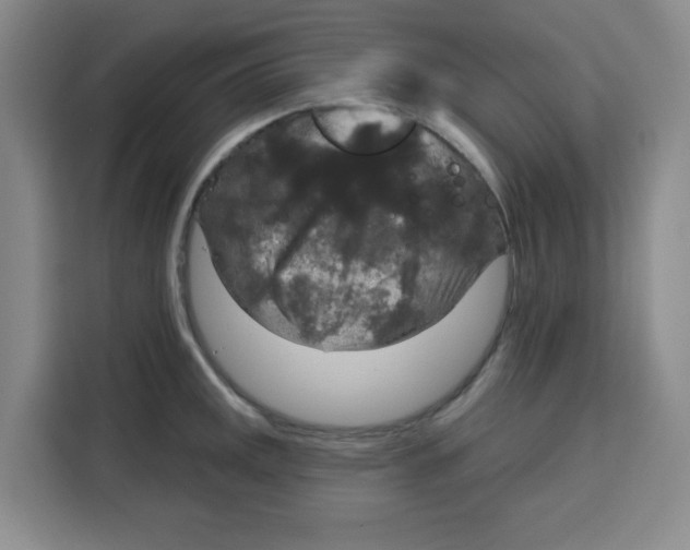 X0000115131141200911241440