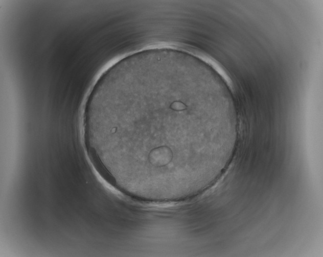X0000115131143200911241440