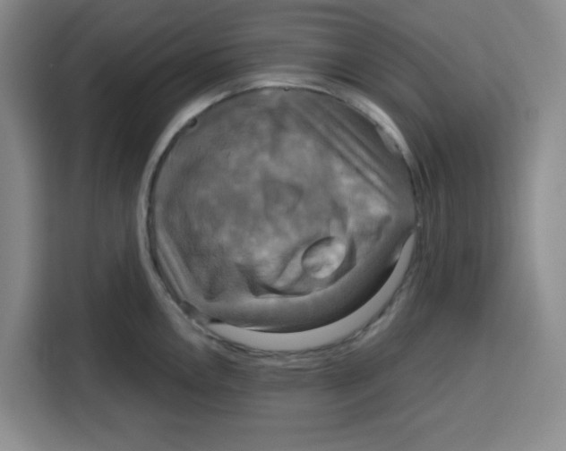 X0000115131146200911241440