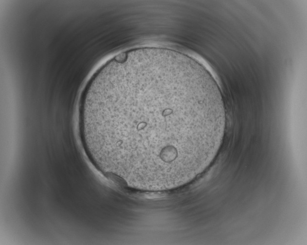 X0000115131147200911241440