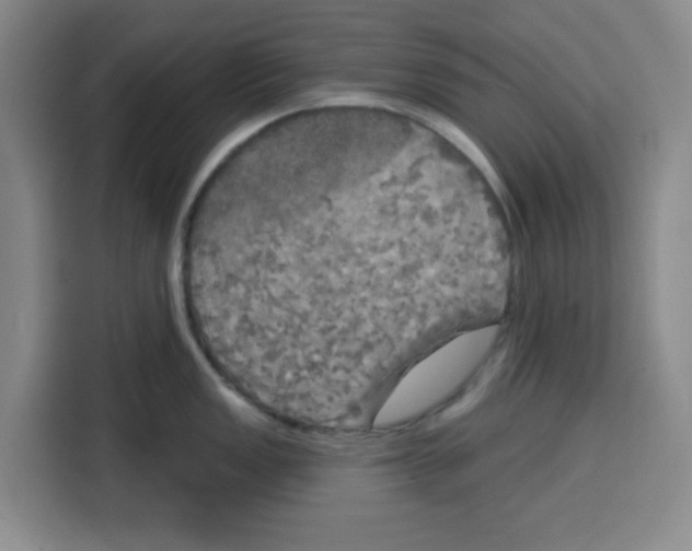 X0000115131149200911241440