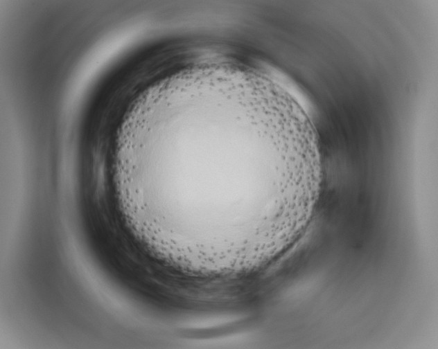 X0000115131150200911241440