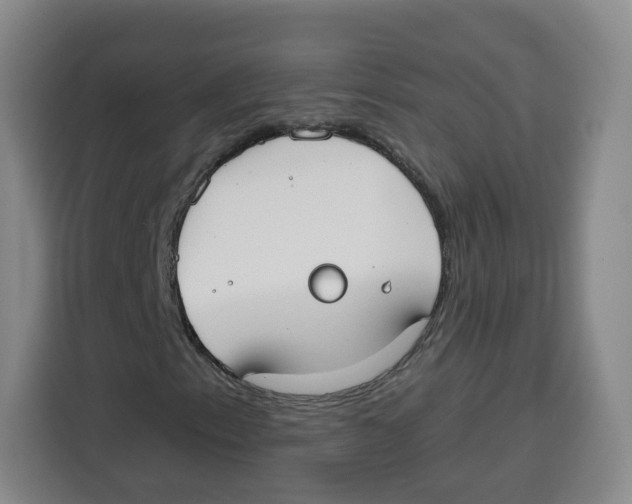 X0000115131153200911241440