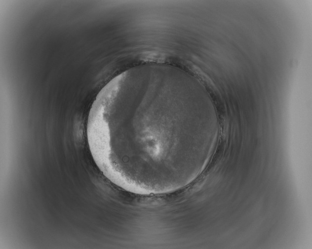 X0000115131154200911241440