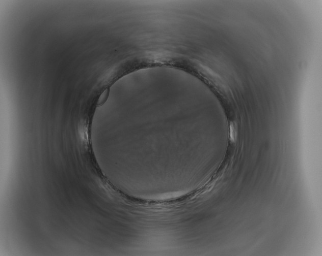 X0000115131155200911241440