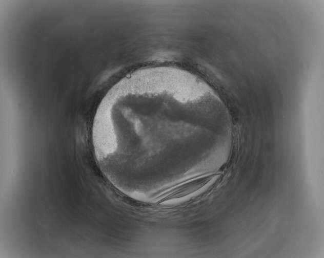 X0000115131158200911241440