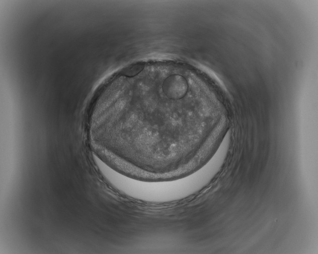 X0000115131160200911241440