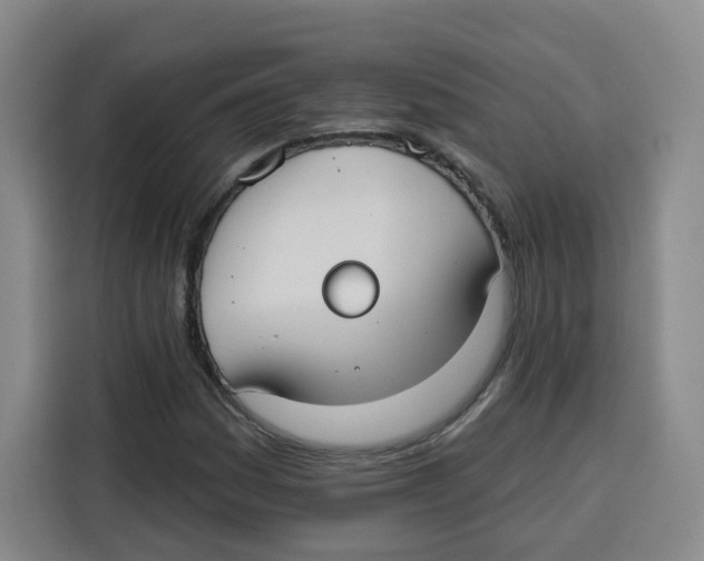X0000115131161200911241440