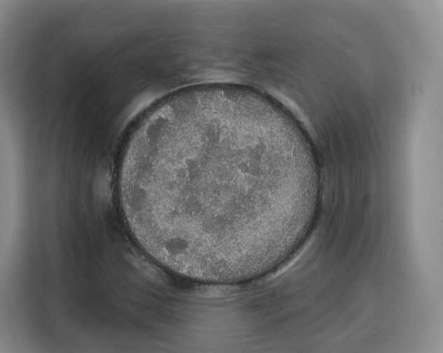X0000115131163200911241440