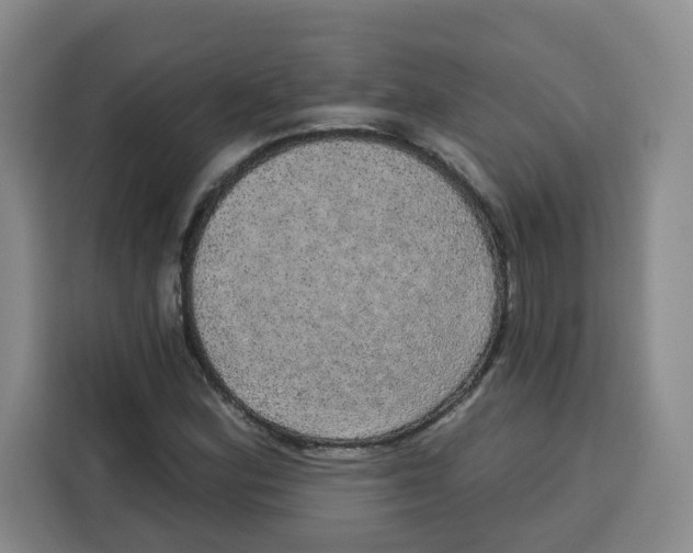 X0000115131164200911241440
