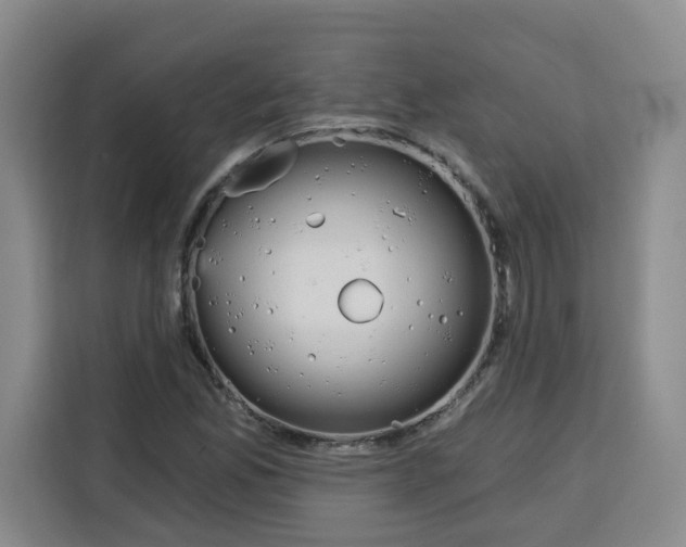 X0000115131165200911241440