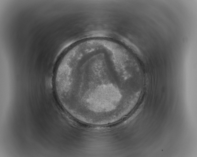 X0000115131166200911241440