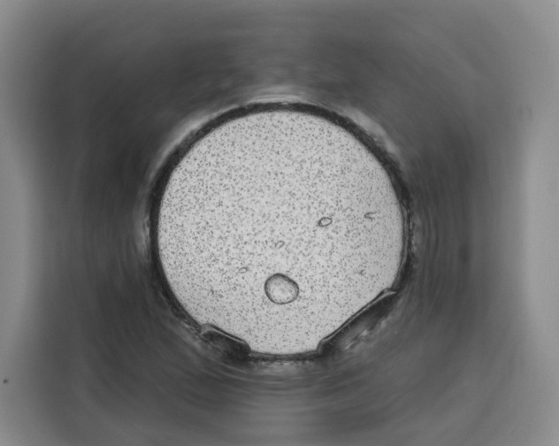 X0000115131167200911241440