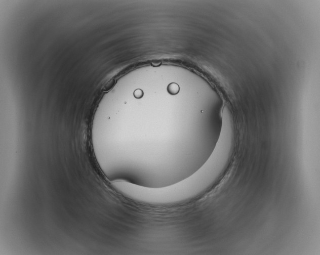 X0000115131169200911241440