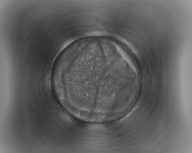 X0000115131170200911241440