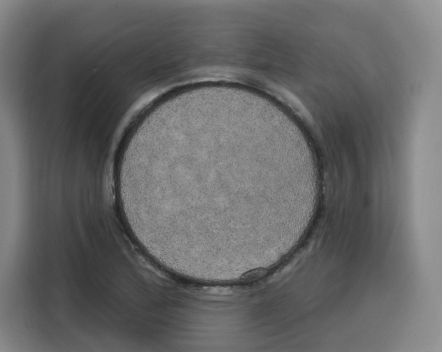 X0000115131172200911241440