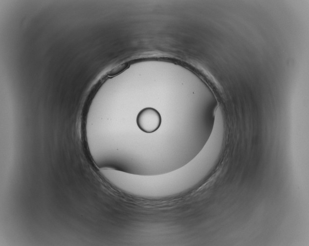 X0000115131173200911241440