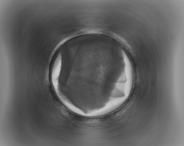 X0000115131174200911241440