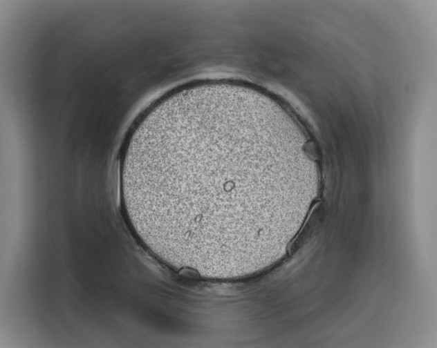 X0000115131175200911241440