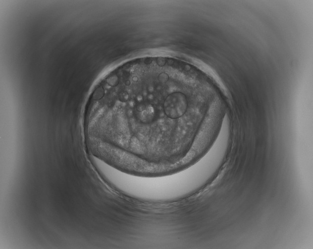 X0000115131176200911241440