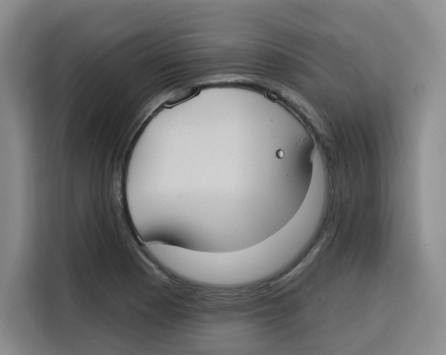 X0000115131177200911241440