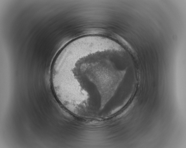 X0000115131178200911241440